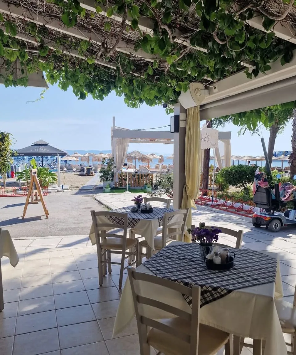 Beach terrace under the vine pergola with tables looking out to the sea